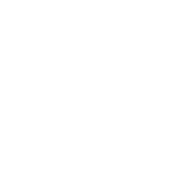 Company team