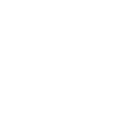 Company team